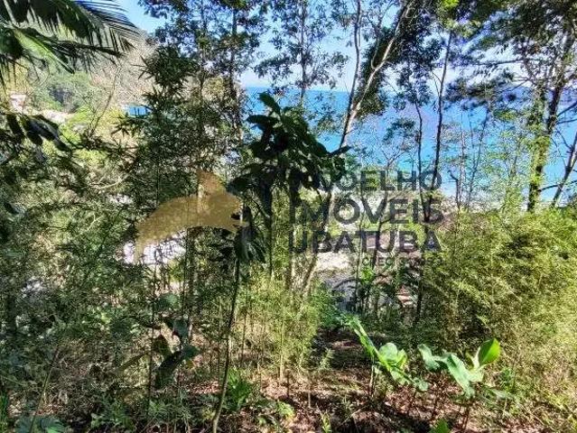 Terreno / Lote para Venda em Ubatuba/SP Enseada