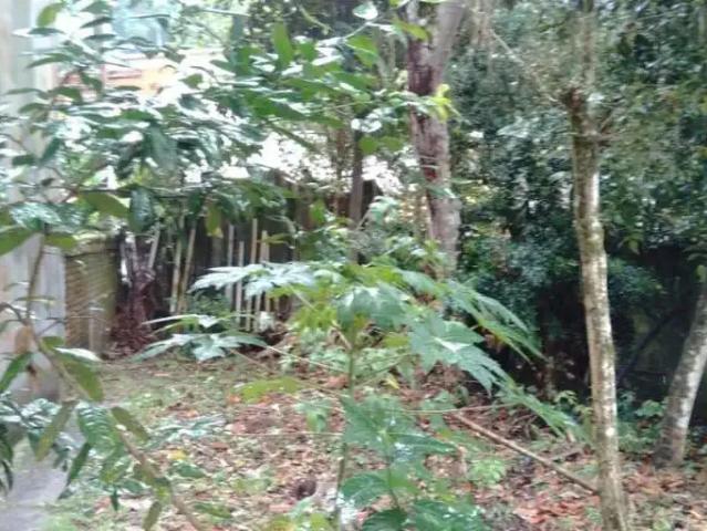 Terreno / Lote para Venda em Ubatuba/SP Estufa II