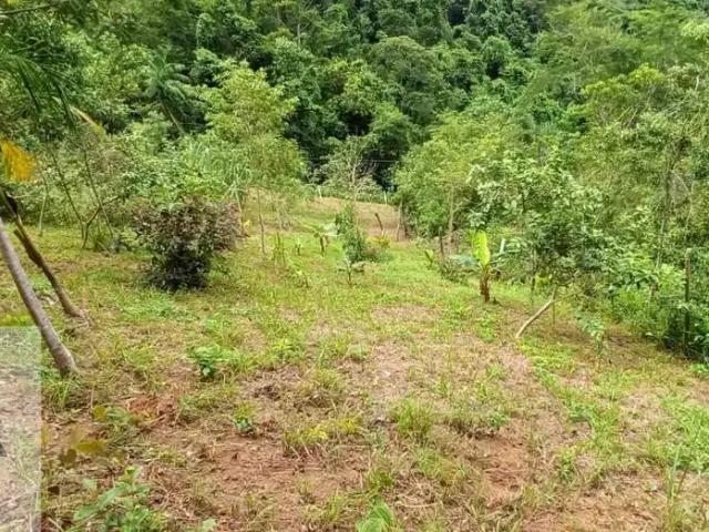 Terreno / Lote para Venda em Ubatuba/SP Lagoinha