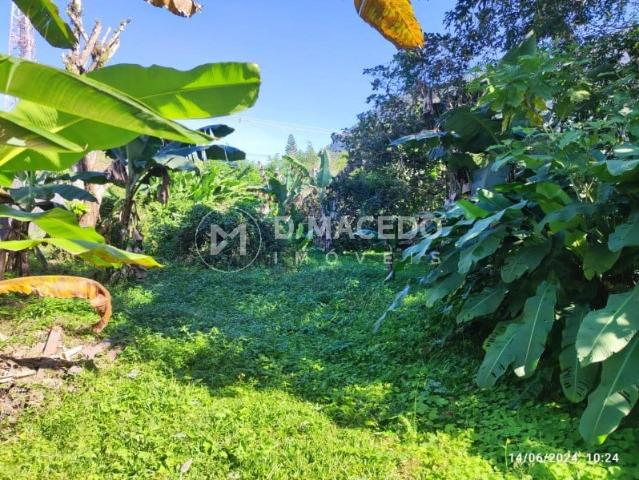 Terreno / Lote para Venda em Ubatuba/SP Lagoinha
