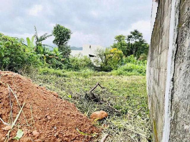Terreno / Lote para Venda em Ubatuba/SP Maranduba