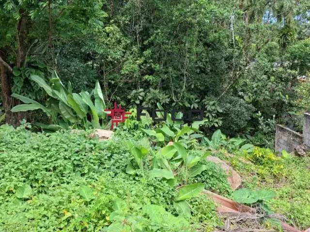 Terreno / Lote para Venda em Ubatuba/SP Sapé