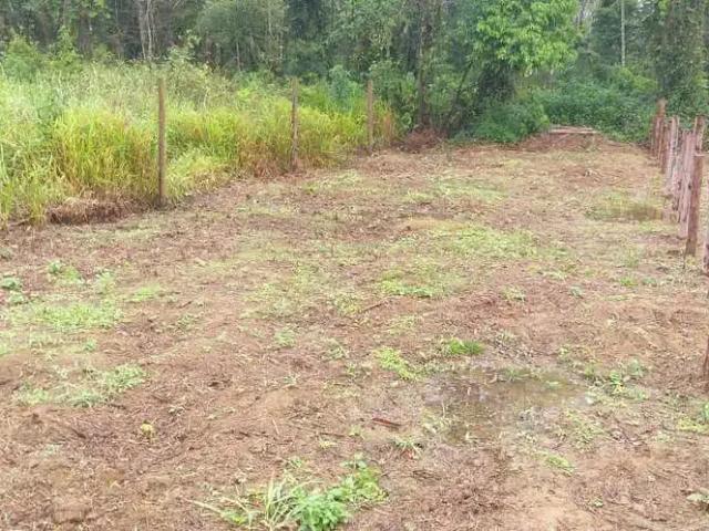 Terreno / Lote para Venda em Ubatuba/SP Sertão da Quina