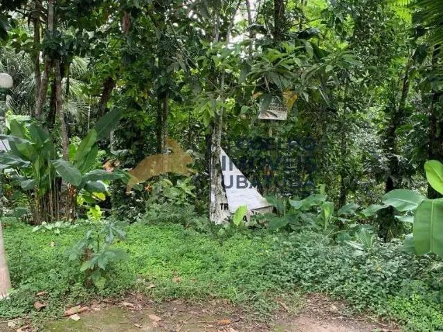 Terreno / Lote para Venda em Ubatuba/SP Prumirim