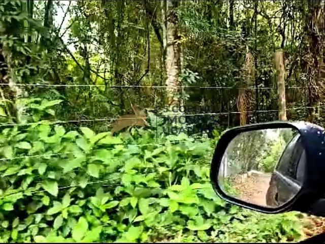 Terreno / Lote para Venda em Ubatuba/SP Félix