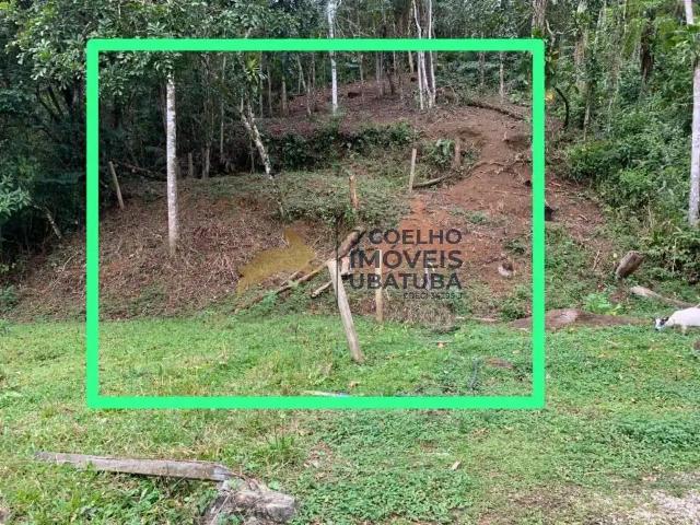 Terreno / Lote para Venda em Ubatuba/SP Itamambuca