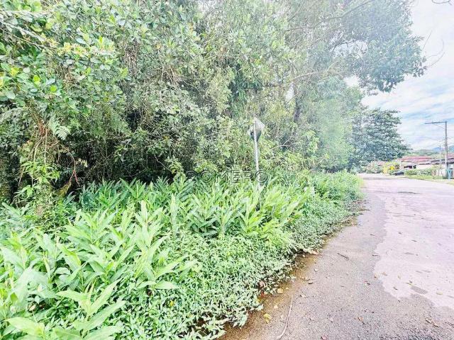 Terreno / Lote para Venda em Ubatuba/SP Praia da Lagoinha