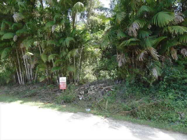 Terreno / Lote para Venda em Ubatuba/SP Praia da Lagoinha
