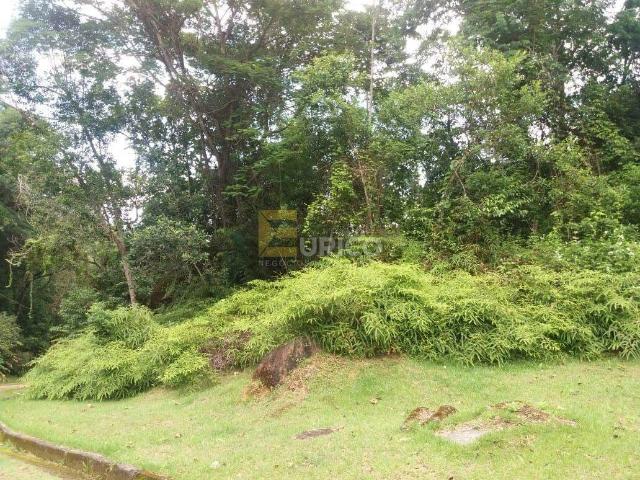 Terreno / Lote para Venda em Ubatuba/SP Praia da Lagoinha
