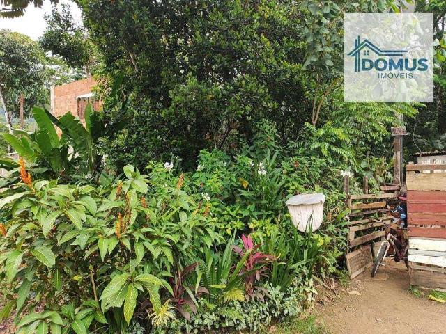 Terreno / Lote para Venda em Ubatuba/SP Praia da Lagoinha