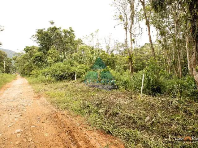 Terreno / Lote para Venda em Ubatuba/SP Tabatinga