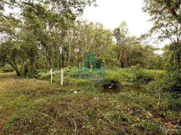 Terreno / Lote para Venda em Ubatuba/SP Tabatinga