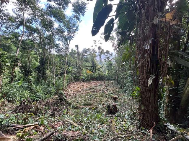 Terreno / Lote para Venda em Ubatuba/SP Tenório
