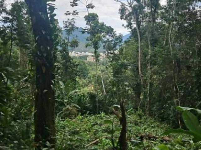 Terreno / Lote para Venda em Ubatuba/SP Tenório