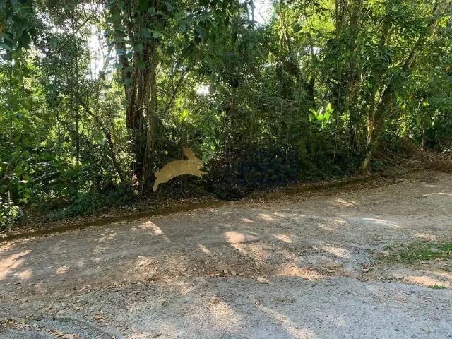 Terreno / Lote para Venda em Ubatuba/SP Tenório