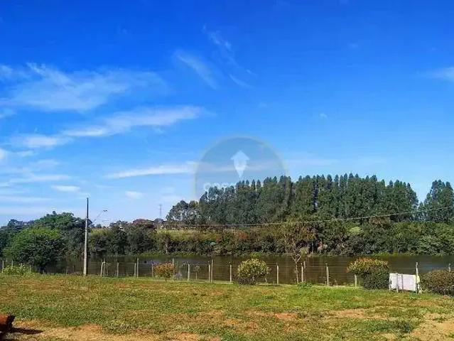 Terreno / Lote para Venda em Uberaba/MG Jockey Park