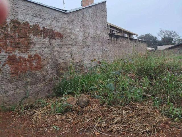 Terreno / Lote para Venda em Uberaba/MG Jardim Nenê Gomes
