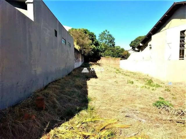 Terreno / Lote para Venda em Uberaba/MG Jardim Alexandre Campos