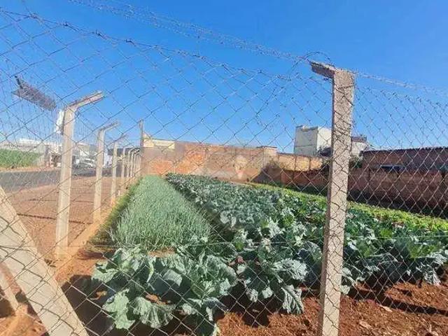 Terreno / Lote para Venda em Uberaba/MG Jardim Copacabana