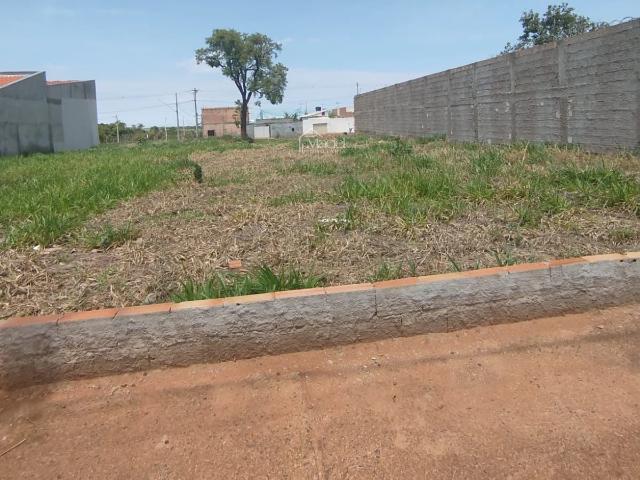 Terreno / Lote para Venda em Uberaba/MG Loteamento Jardim Ipiranga