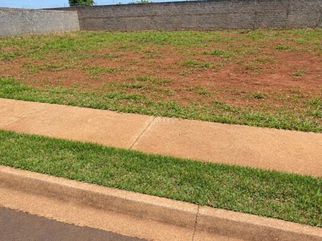 Terreno / Lote para Venda em Uberaba/MG Loteamento Maria Barbosa