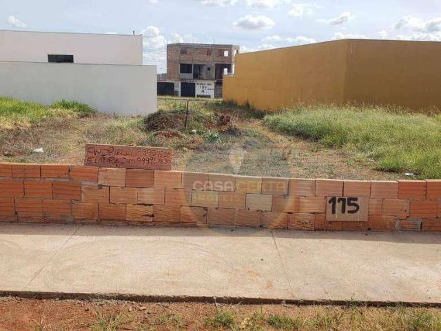 Terreno / Lote para Venda em Uberaba/MG Paraíso