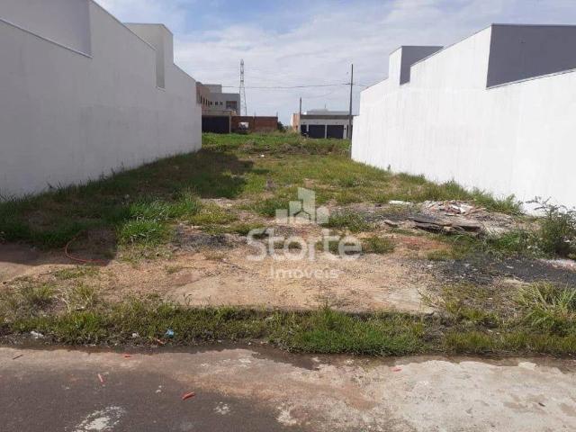 Terreno / Lote para Venda em Uberlândia/MG Colorado