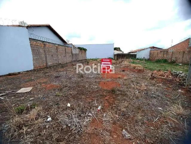 Terreno / Lote para Venda em Uberlândia/MG Conjunto Segismundo Pereira