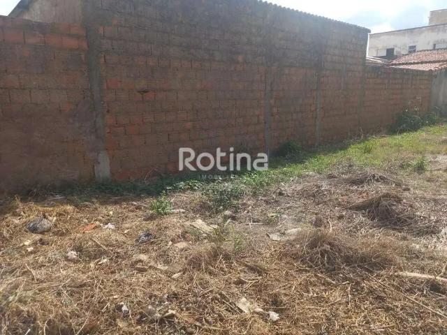 Terreno / Lote para Venda em Uberlândia/MG Conjunto Segismundo Pereira