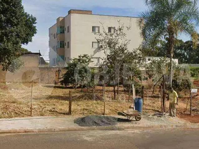 Terreno / Lote para Venda em Uberlândia/MG Segismundo Pereira