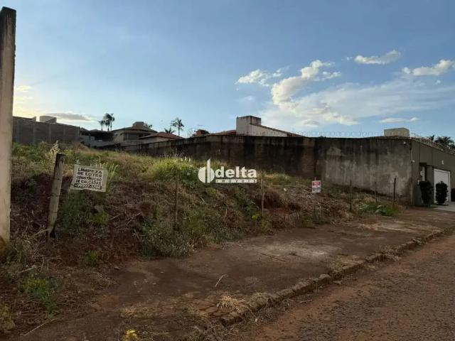 Terreno / Lote para Venda em Uberlândia/MG Cidade Jardim