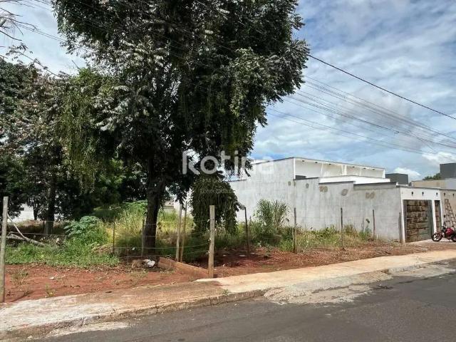 Terreno / Lote para Venda em Uberlândia/MG Cidade Jardim