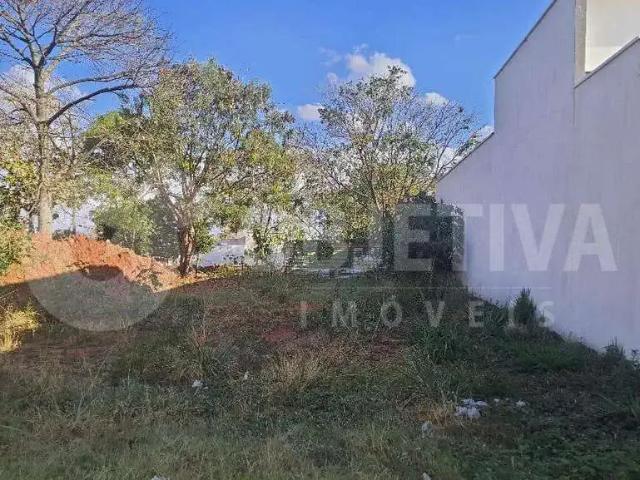 Terreno / Lote para Venda em Uberlândia/MG Cidade Jardim