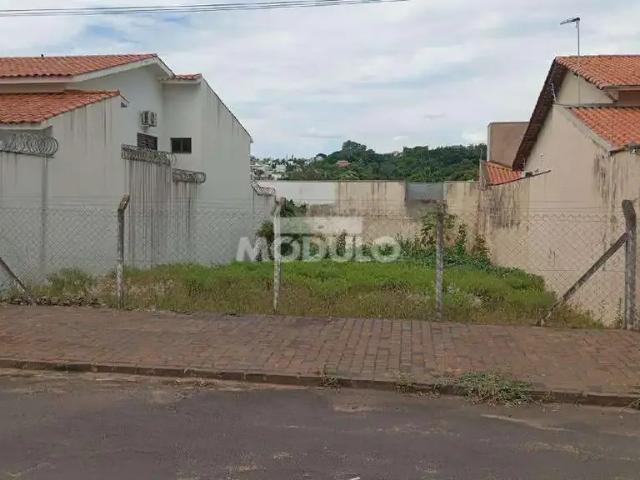 Terreno / Lote para Venda em Uberlândia/MG Cidade Jardim