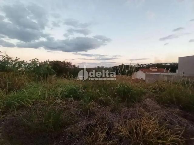 Terreno / Lote para Venda em Uberlândia/MG Cidade Jardim