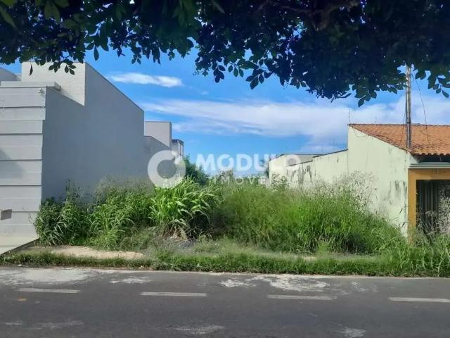 Terreno / Lote para Venda em Uberlândia/MG Custódio Pereira
