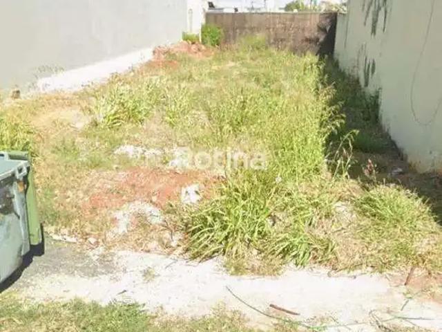 Terreno / Lote para Venda em Uberlândia/MG Custódio Pereira