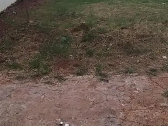 Terreno / Lote para Venda em Uberlândia/MG Custódio Pereira