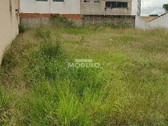 Terreno / Lote para Venda em Uberlândia/MG Alto Umuarama