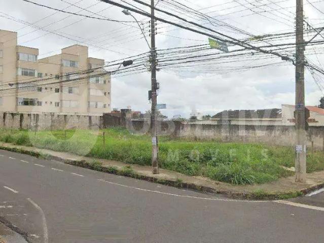 Terreno / Lote para Venda em Uberlândia/MG Alto Umuarama