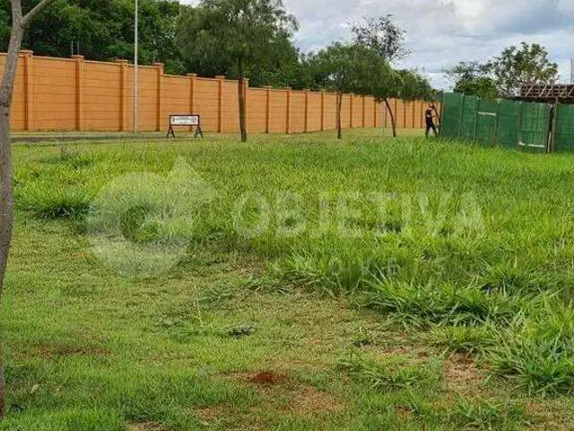 Terreno / Lote para Venda em Uberlândia/MG Alphaville