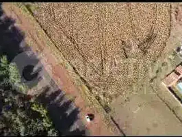 Terreno / Lote para Venda em Uberlândia/MG Área Rural de Uberlândia
