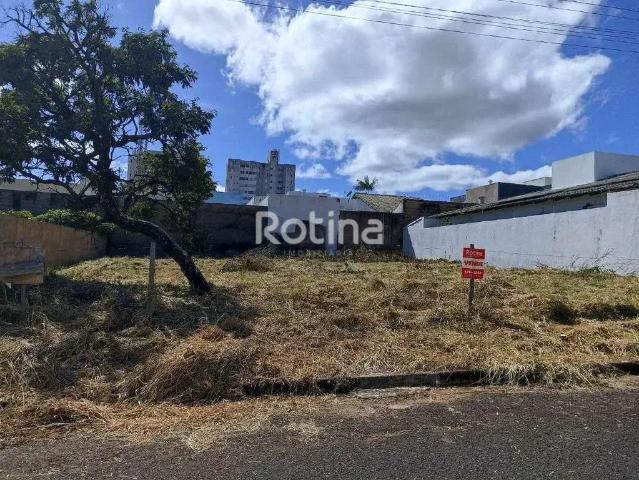 Terreno / Lote para Venda em Uberlândia/MG Bosque dos Buritis