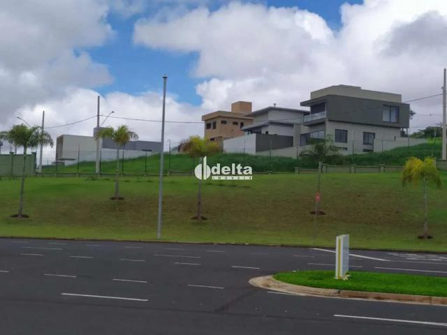 Terreno / Lote para Venda em Uberlândia/MG Granja Marileusa