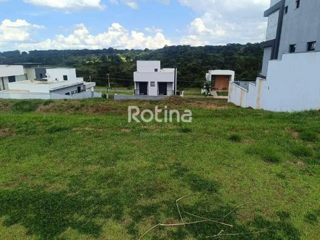 Terreno / Lote para Venda em Uberlândia/MG Granja Marileusa