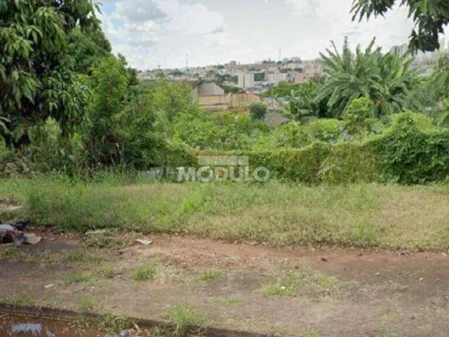 Terreno / Lote para Venda em Uberlândia/MG Jaraguá