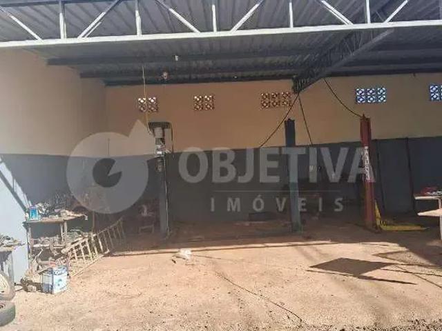 Terreno / Lote para Venda em Uberlândia/MG Jardim Botânico