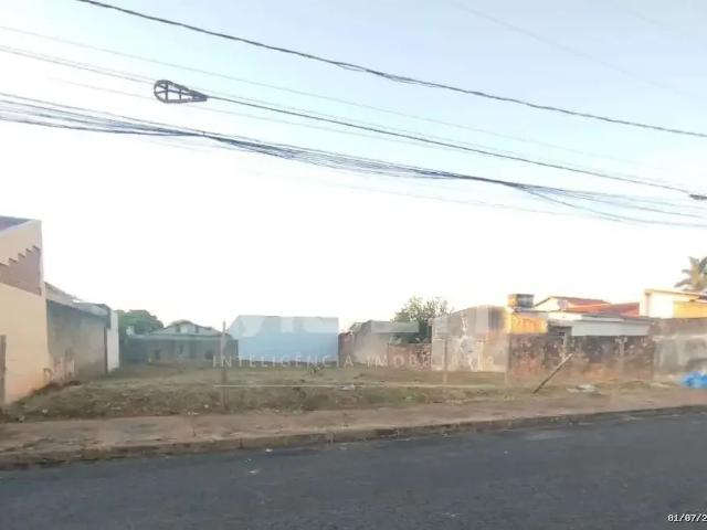 Terreno / Lote para Venda em Uberlândia/MG Jardim das Palmeiras 1 Quartos