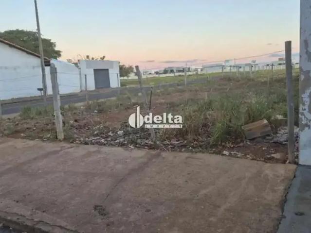 Terreno / Lote para Venda em Uberlândia/MG Jardim das Palmeiras