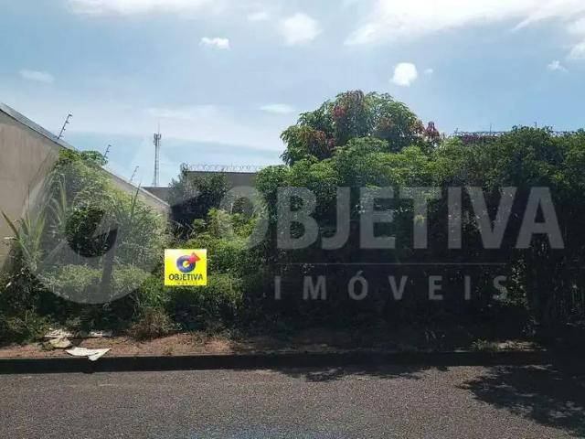 Terreno / Lote para Venda em Uberlândia/MG Jardim das Palmeiras
